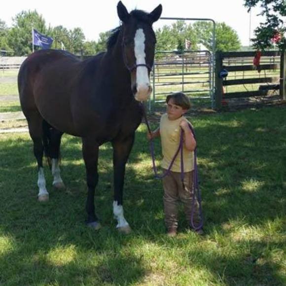 Meet your Posher, Penny - Picture 1 of 1